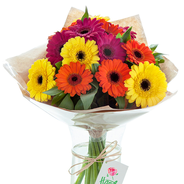 Gracefully perched in a gleaming glass vase, this hand-tied bouquet of Gerbera daisies radiates positivity, its brilliant palette echoing the vibrant spirit of New Addington residents. Approximately twelve lavish blooms-sunlit yellow, fiery orange, and velvety magenta-are arranged with precision, their broad, perfectly spaced petals surrounding deep chocolate eyes that command attention. Lush green foliage peeks between the flowers, creating a tapestry of color and texture reminiscent of the leafy stretches along Lodge Lane or central Addington. The bouquet is wrapped in a double layer: first, a delicate sheath of glossy cellophane that flares gently at the top, cradling and protecting the blossoms; then an outer wrap of rustic, tan kraft paper whose subtle grain lends an earthy elegance and artisan feel. The vase's hourglass silhouette allows the bouquet's natural stems to be admired in the clear, fresh water below, while a rustic twine bow encircles the neck with quiet charm. Dangling from the twine is a simple white tag bearing a minimalist red rose-an understated nod to tradition and local pride. The entire composition, awash in soft, natural light, conjures the sense of a fresh spring morning in New Addington and speaks to occasions calling for gratitude, celebration, or simple acts of kindness. Perfect as a gift for a birthday, new home, or as a centerpiece at family gatherings, this bouquet captures the essence of hand-crafted beauty and community warmth.