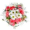 This bouquet captures the gentle exuberance of spring unfolding across New Addington, each bloom selected to convey renewal and happiness. Central white daisies, their snowy petals and fresh green hearts bright against a soft backdrop, instantly evoke morning walks by the Farleigh Playing Fields. Nestled among them, dreamily ruffled coral-pink carnations add a touch of warmth and playfulness, their texture inviting touch and admiration. Wisps of baby's breath shimmer among the larger flowers, giving a starry, weightless accent that transforms the dense arrangement into something almost celestial. Subtle alstroemeria buds flecked with magenta and pink, just beginning to open, lend sophistication and a sense of botanical promise. Silvery eucalyptus branches mingle with lush, darker foliage, encircling the flowers with gentle structure and a soft herbal fragrance familiar to anyone strolling through local parks. The bouquet's balanced composition and vibrant palette create an atmosphere of hope and celebration, making it a cherished gift for birthdays, Mother's Day, or simply to brighten a loved one's home. Each stem is placed with care, reflecting New Addington's commitment to quality floristry and heartfelt, personal service.